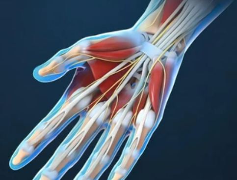 Centre orthopédie Aubagne