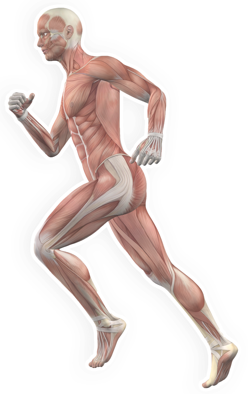 Pathologies orthopédiques, Centre orthopédie Aubagne