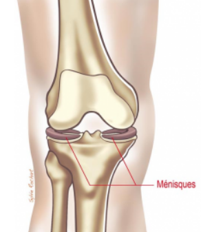 Centre orthopédie Aubagne